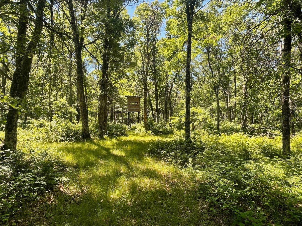 Property Photo 52