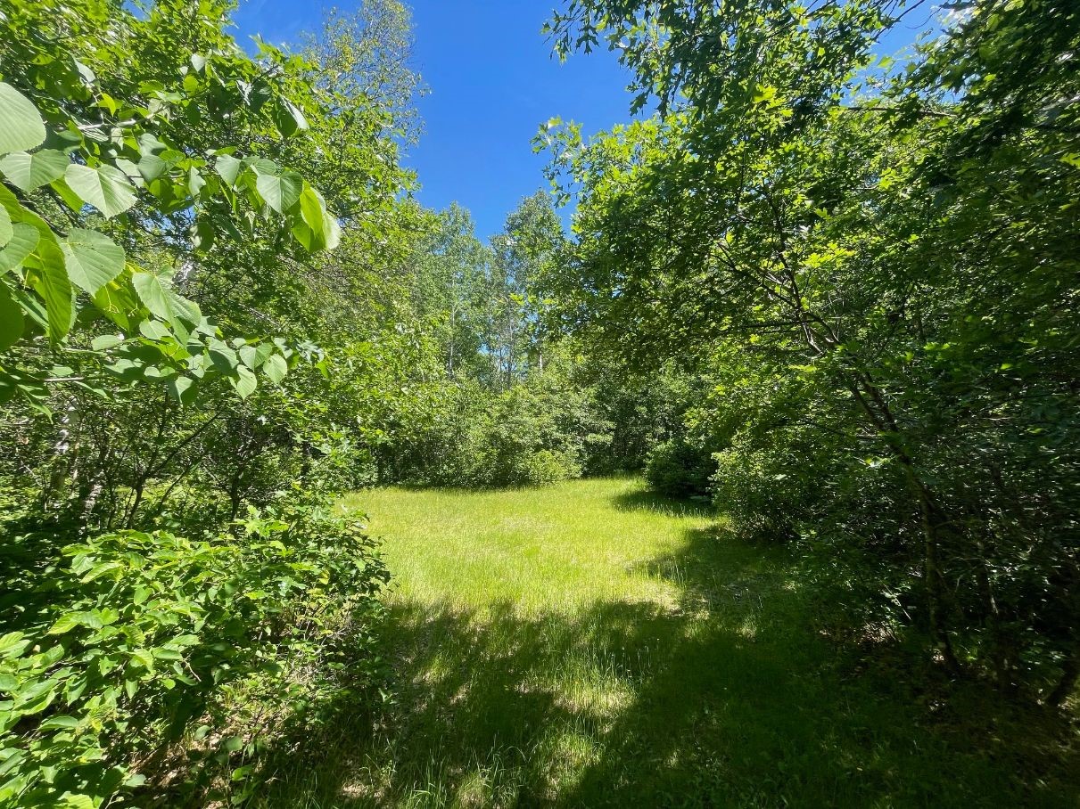 Property Photo 58