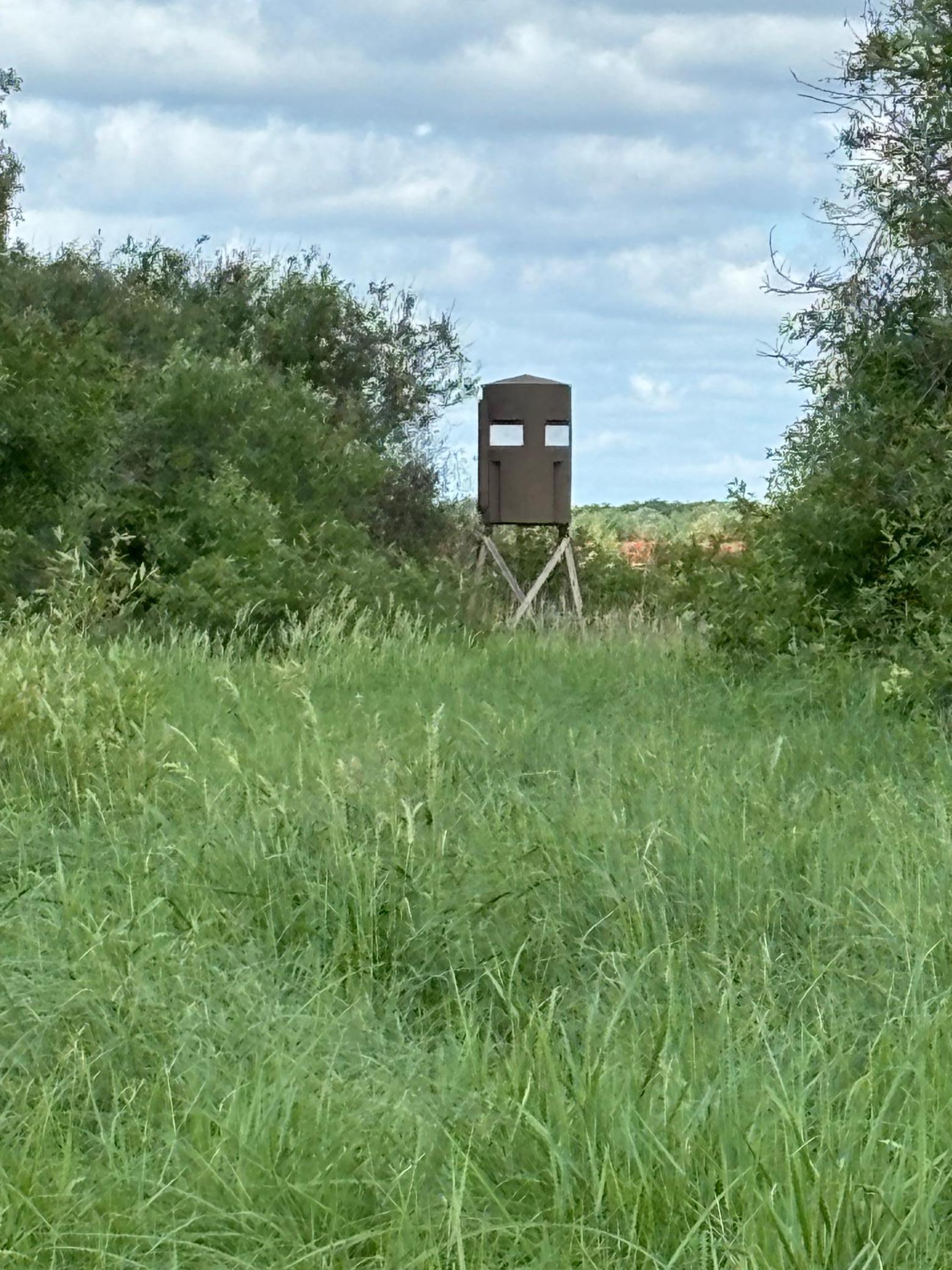 Main Property Photo