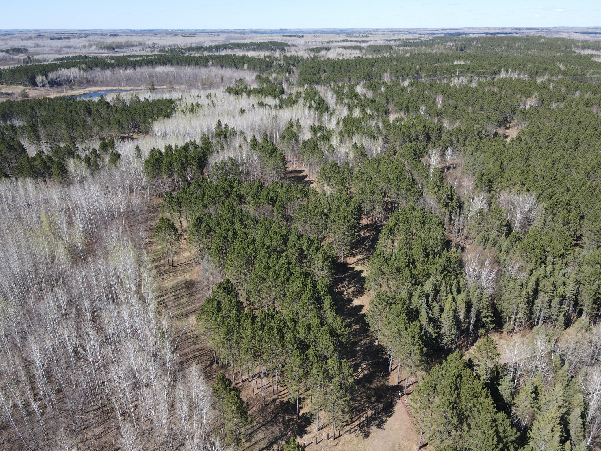 Main Property Photo