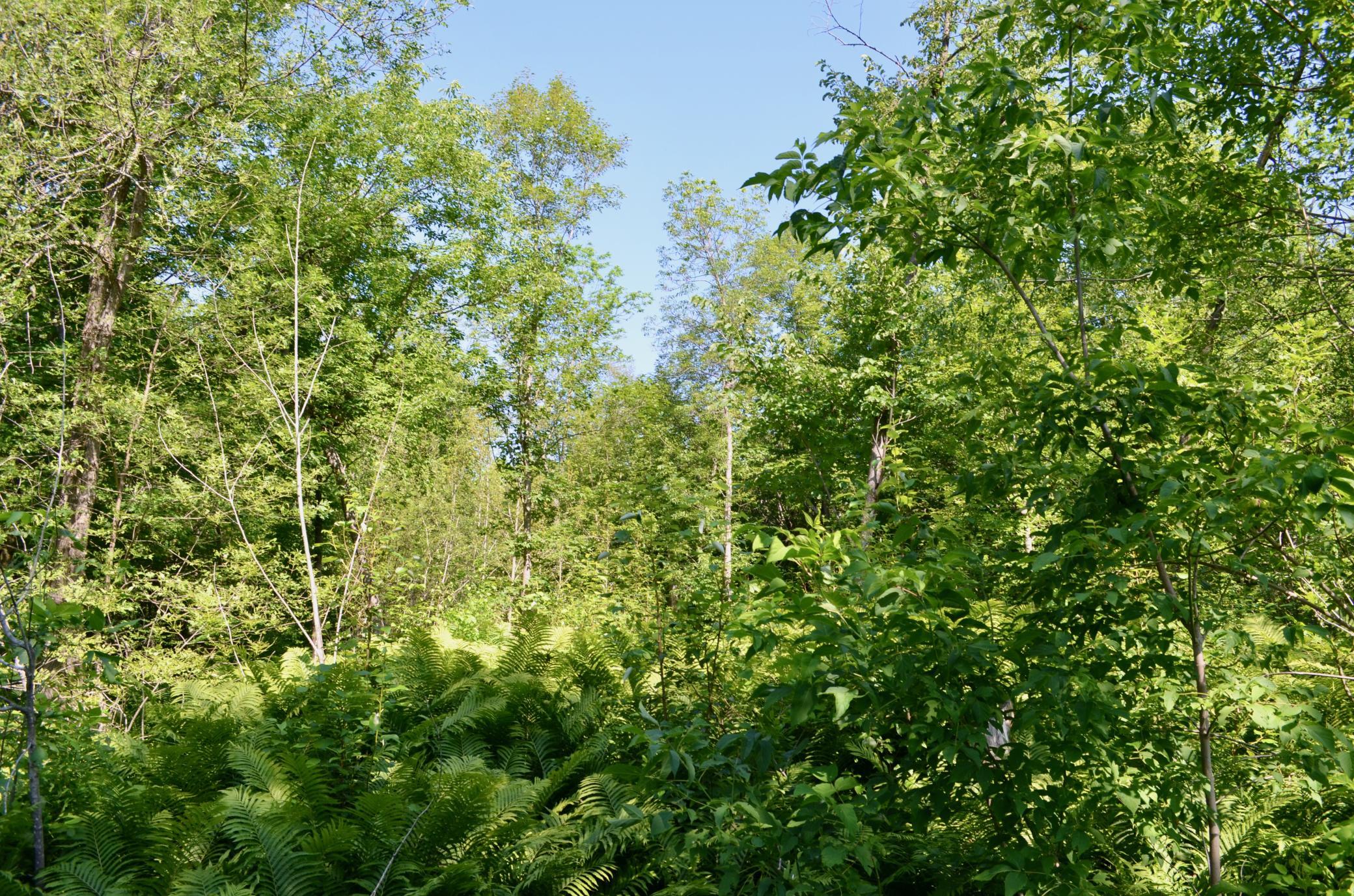 Property Photo 31