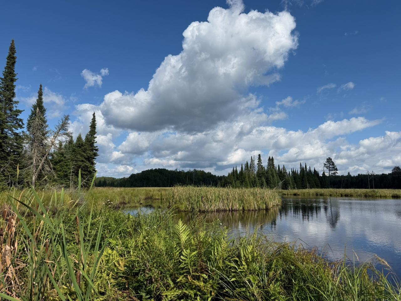 Main Property Photo