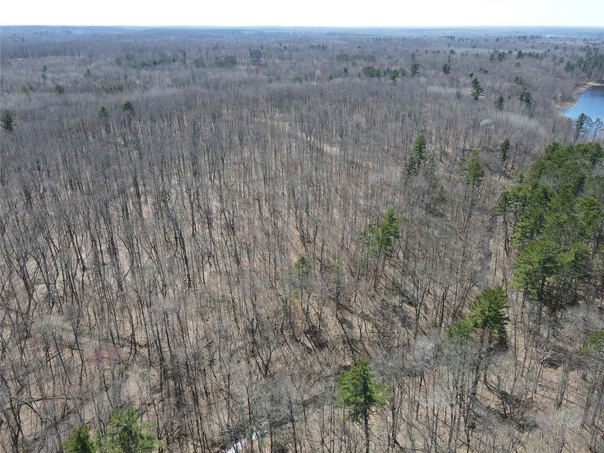 Main Property Photo