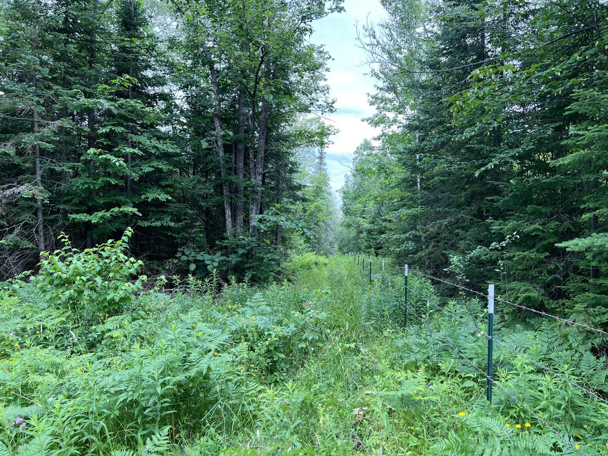 Property Photo 40