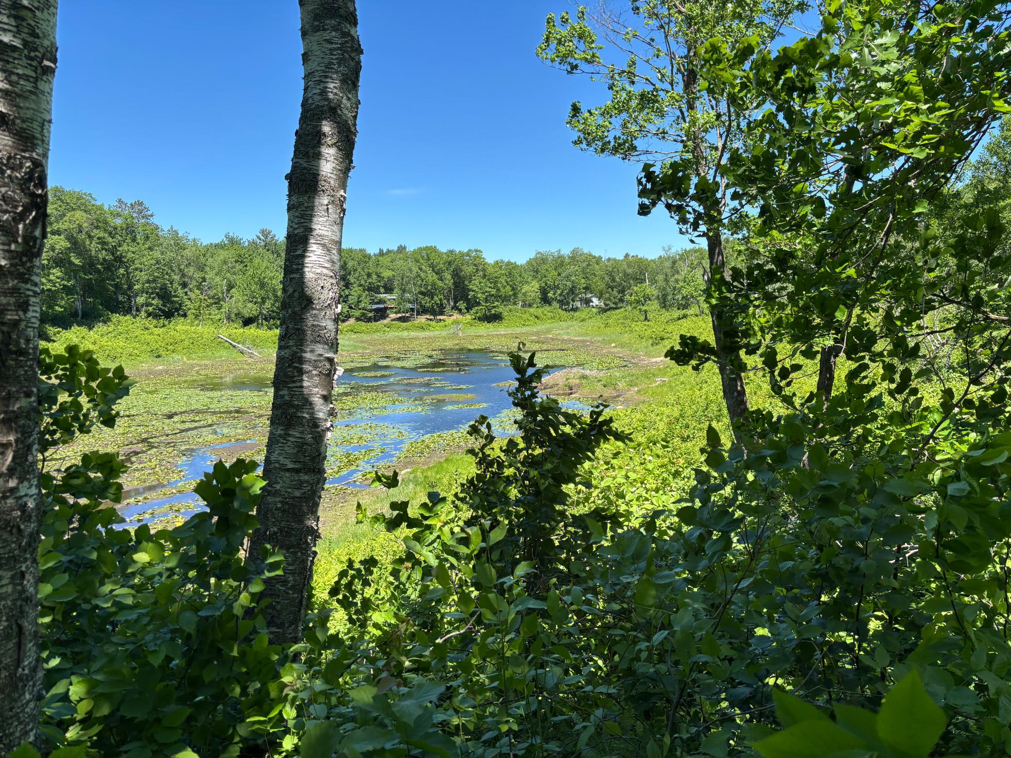 Main Property Photo