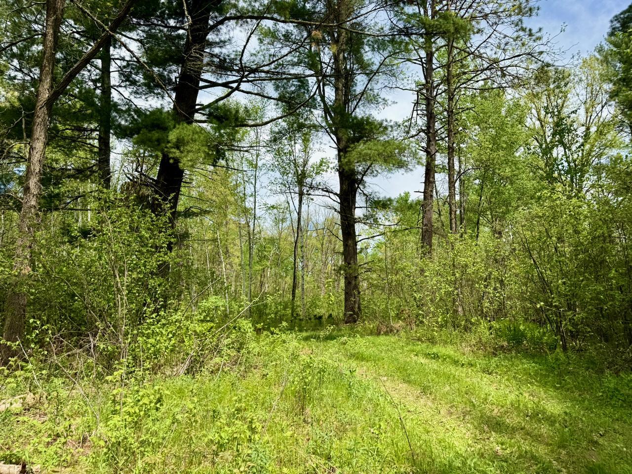 Main Property Photo