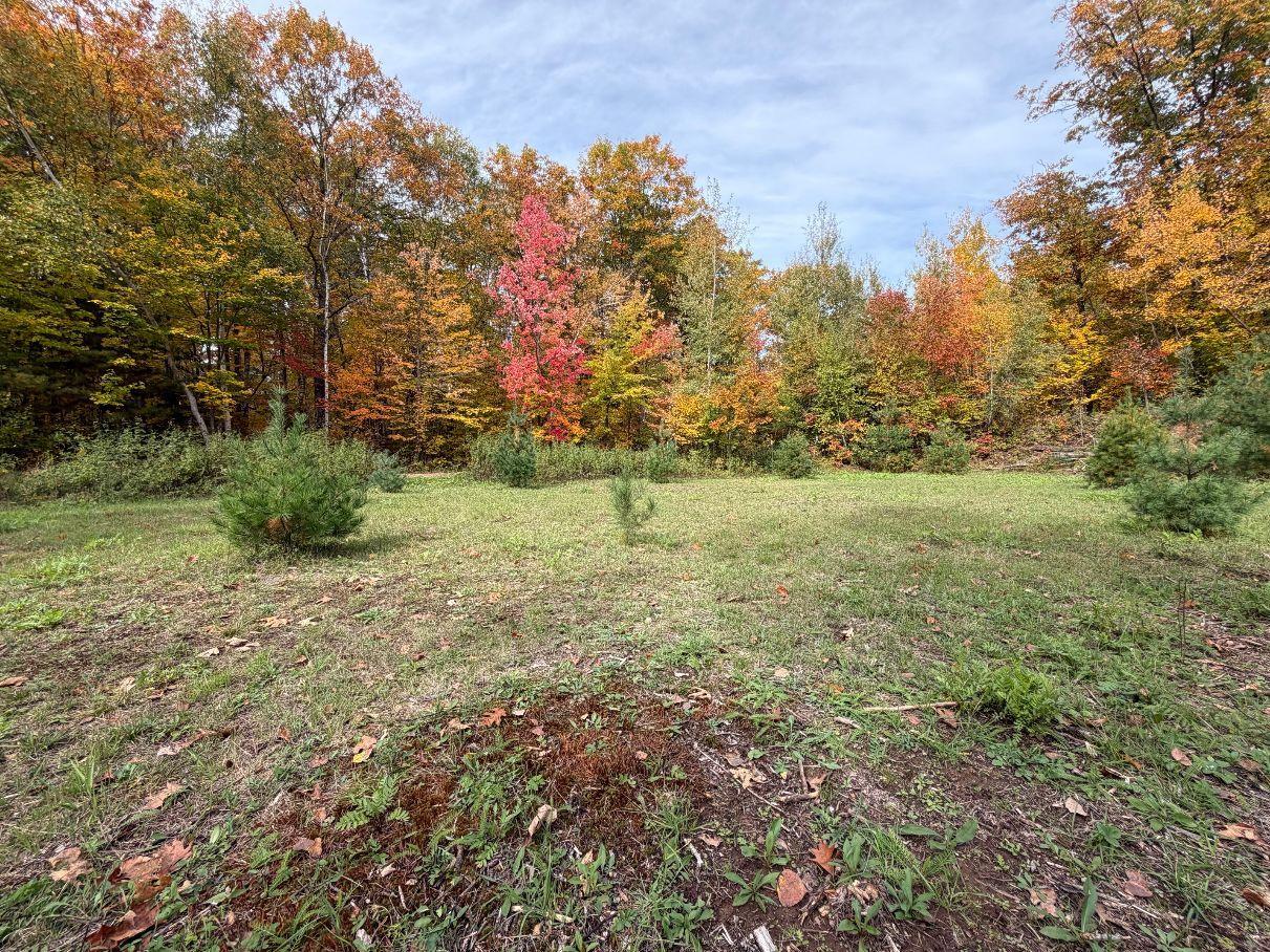 Main Property Photo