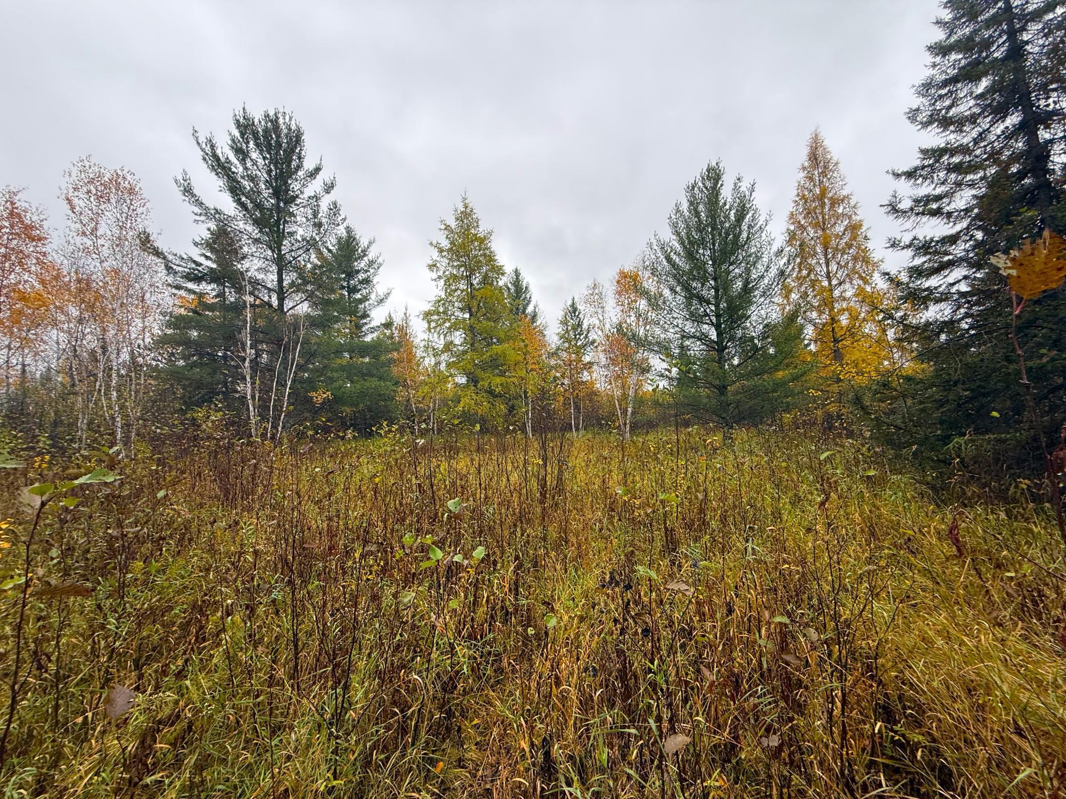 Main Property Photo