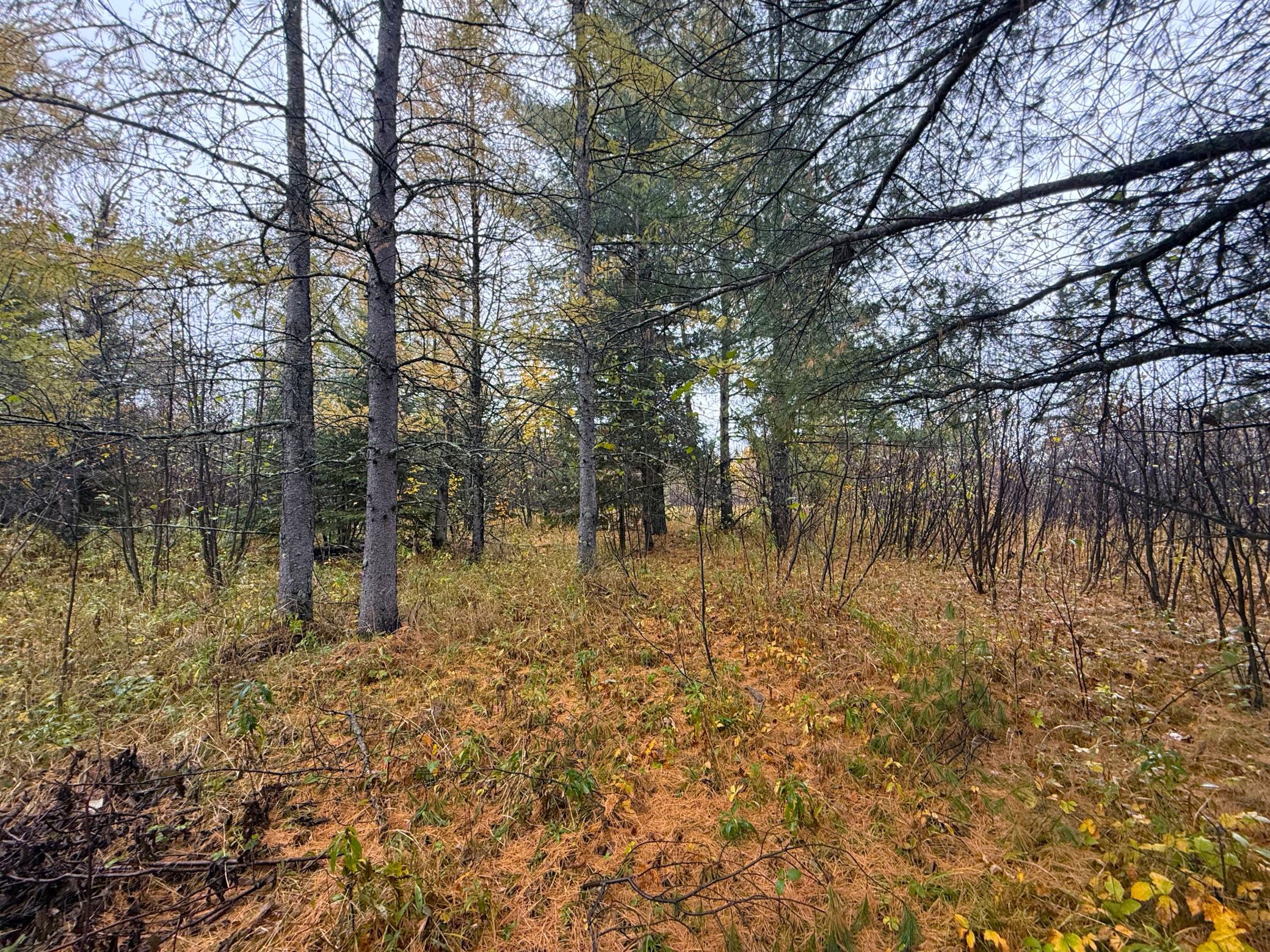 Property Photo 28