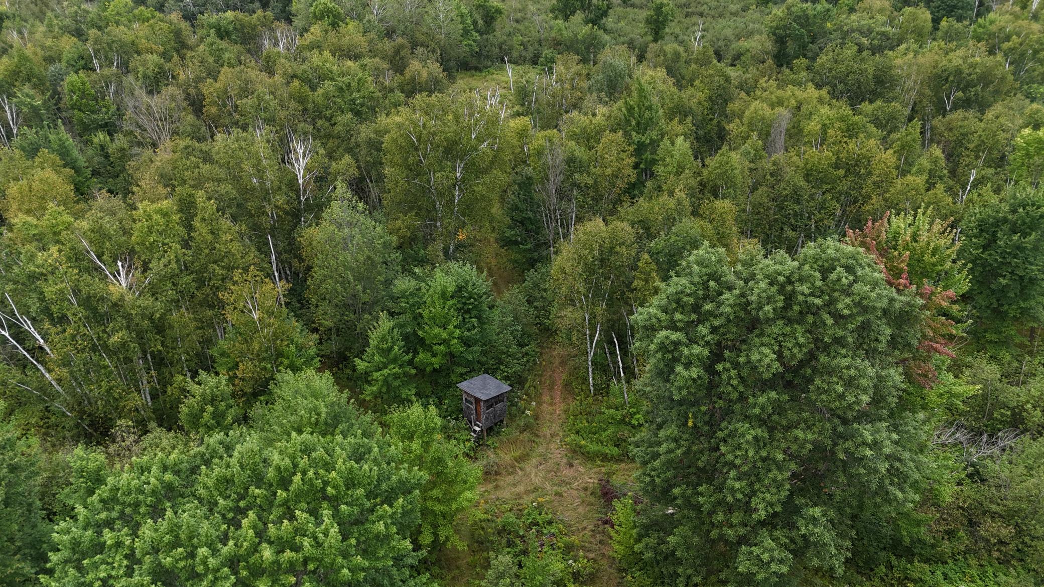 Main Property Photo