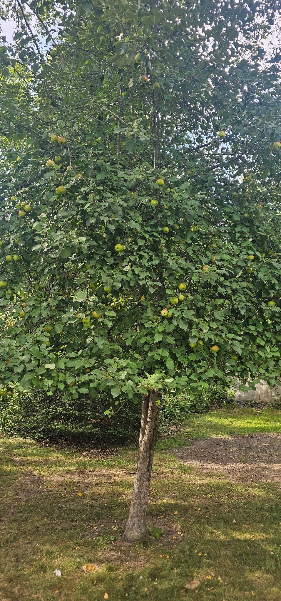 Property Photo 64